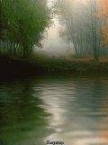 Nature Anim1