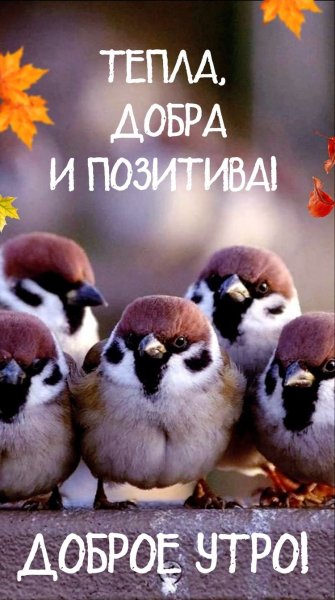 file_91880465
