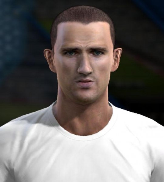Lichaj face pes 2013