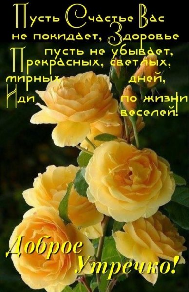 file_90599637