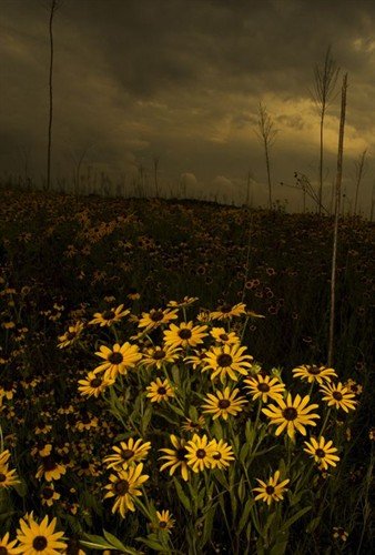 file_86463998