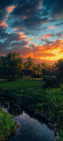file_96419627