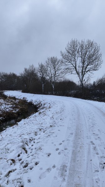 IMG 20260127 144714