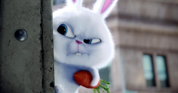 bunny-the-secrete-life-of-pets-movie-2560x1024 (Copy)