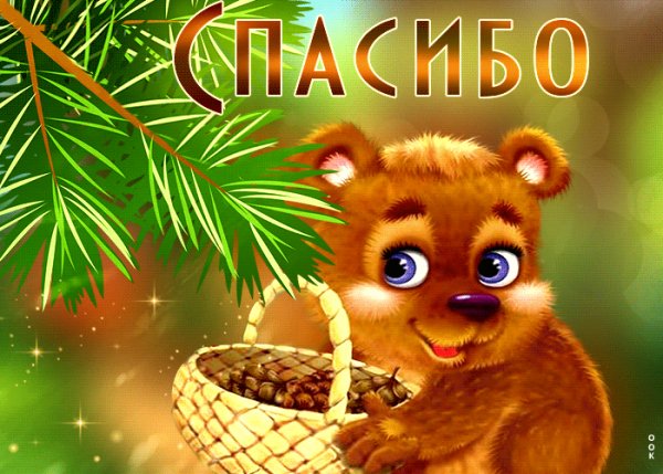 Спасибо!