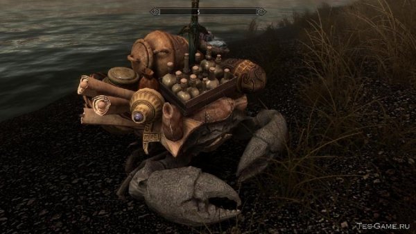 The Mudcrab Merchant