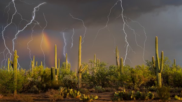 SonoranStorm ROW5466478182 UHD