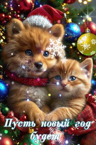 file_98472047