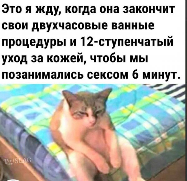 IMG 20260202 142801 162