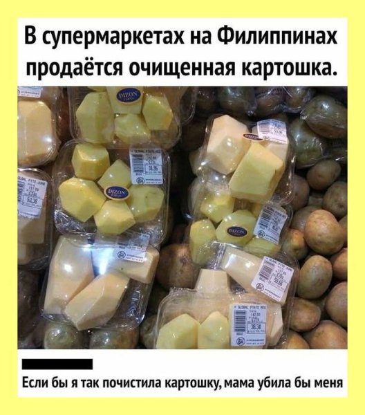 FB IMG 1761076637529