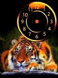 ТIGRY-2