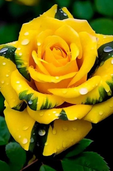 FB IMG 1714604993909