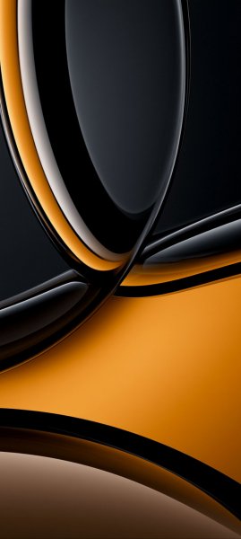 adapted 1080x2408 1787404391