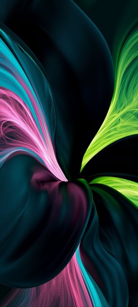 adapted 1080x2408 1788538542