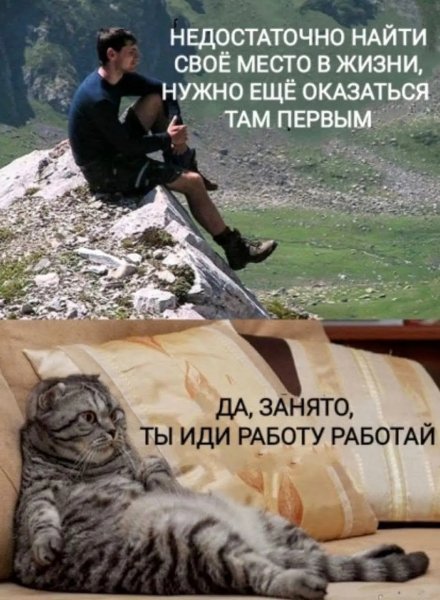 file_102803125