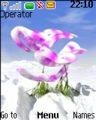 Orchidee