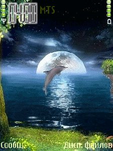Delfin
