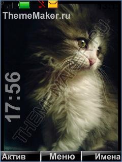 Котейка