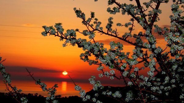 file_68687458