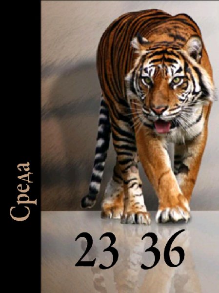 Tigr