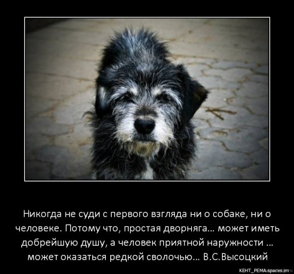 V. S. Vysockij-