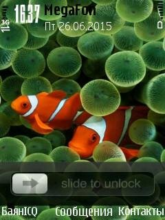 Iphone icons theme