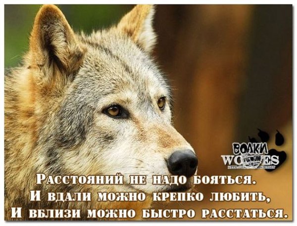 1pOlQh4lNRJ5V. 000