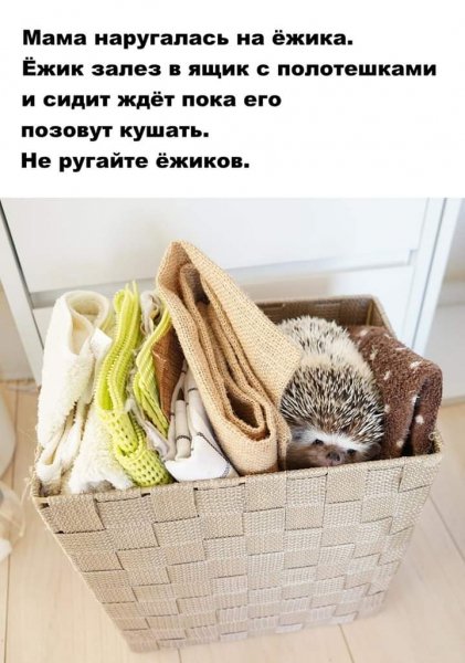 Мама наругалась на