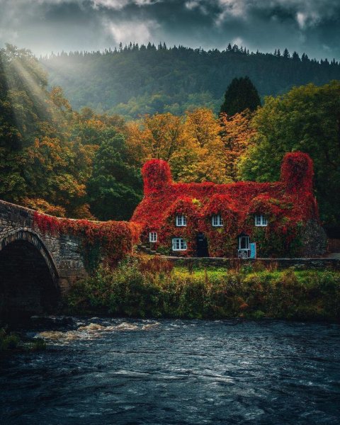 file_100811727