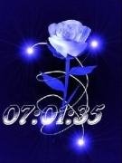 blue-rose swf