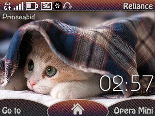 cat-hide-by-princeabid