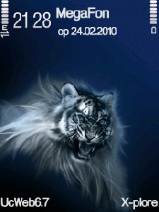 tiger-23-72364