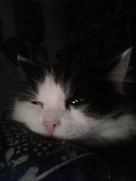 Photo0582