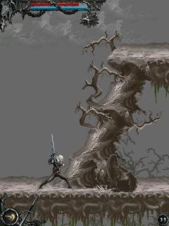 The witcher