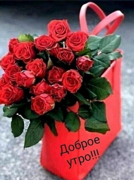 file_92072857