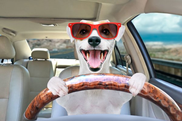 Shutterstock 1433278166