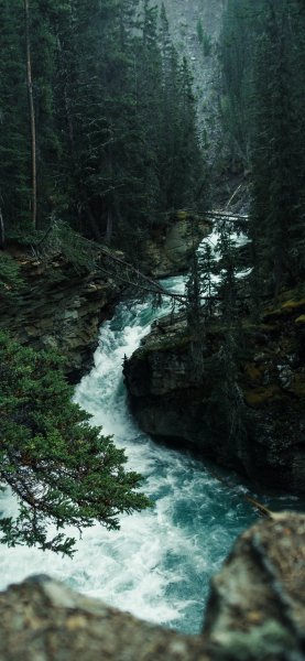 file_96452762