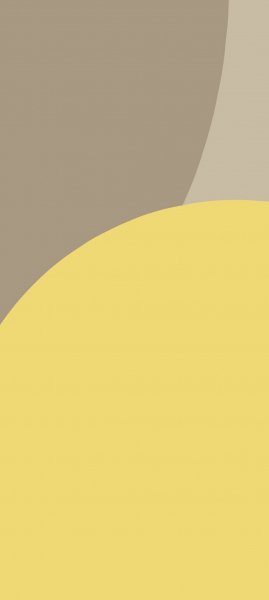 adapted 1080x2408 1787155599
