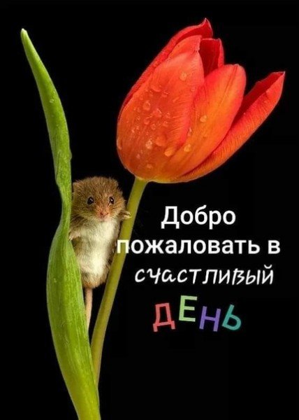 file_77829743