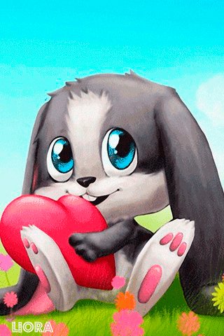 file_81356445