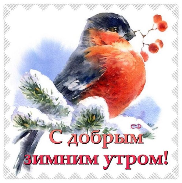 IMG 20191212 330239
