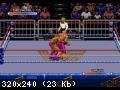 WWF SuperWrestlemania