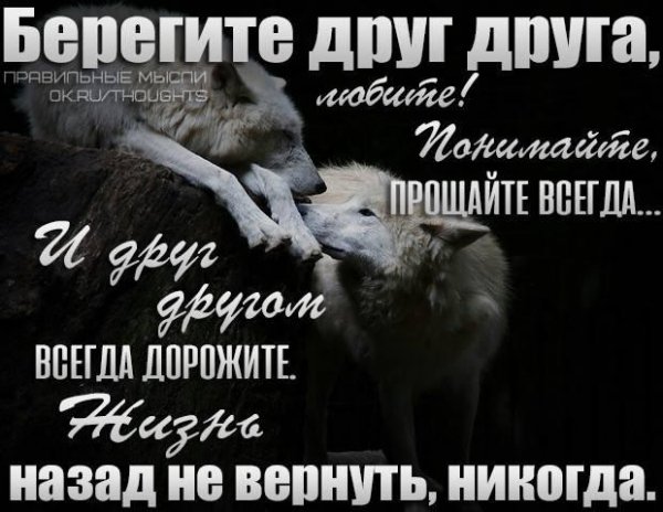 Жизнь не вернуть