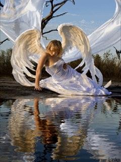 Angel u vody