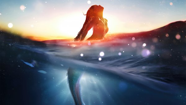 The little mermaid el
