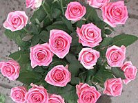 file_85274724