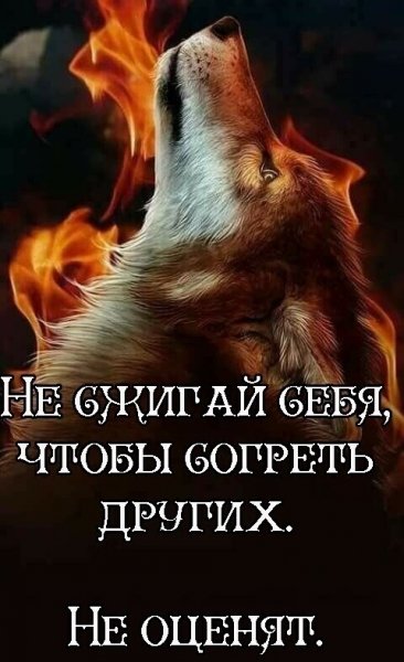 IMG 20210326 173546