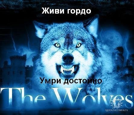 Крик