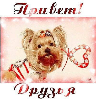 привет,друзья