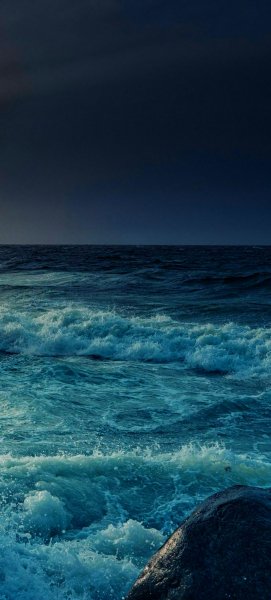 file_100354023